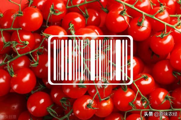 農業大資料市場化配置：不應增加農民負擔