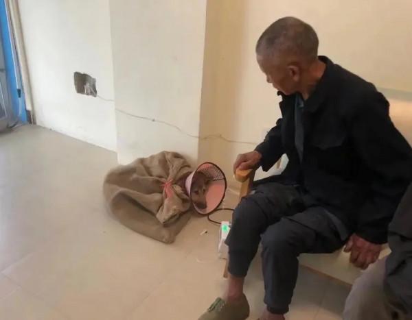 老大爺帶愛犬看病,每天揹著尼龍口袋去城裡:小土狗一樣值得被愛 老大爺帶愛犬看病,每天揹著尼龍口袋去城裡:小土狗一樣值得被愛