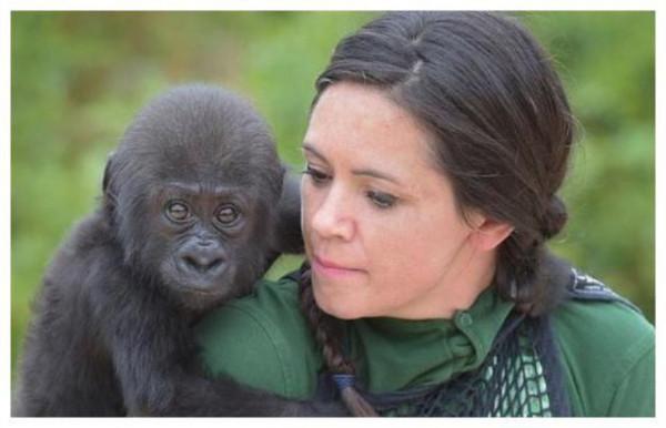 人類與猩猩基因相同？女科學家為驗證以身試險，精神值得敬佩