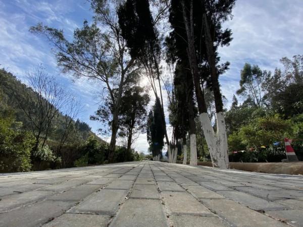 箇舊寶藏景緻上新！一水百花一步道，新年迎春正當時！