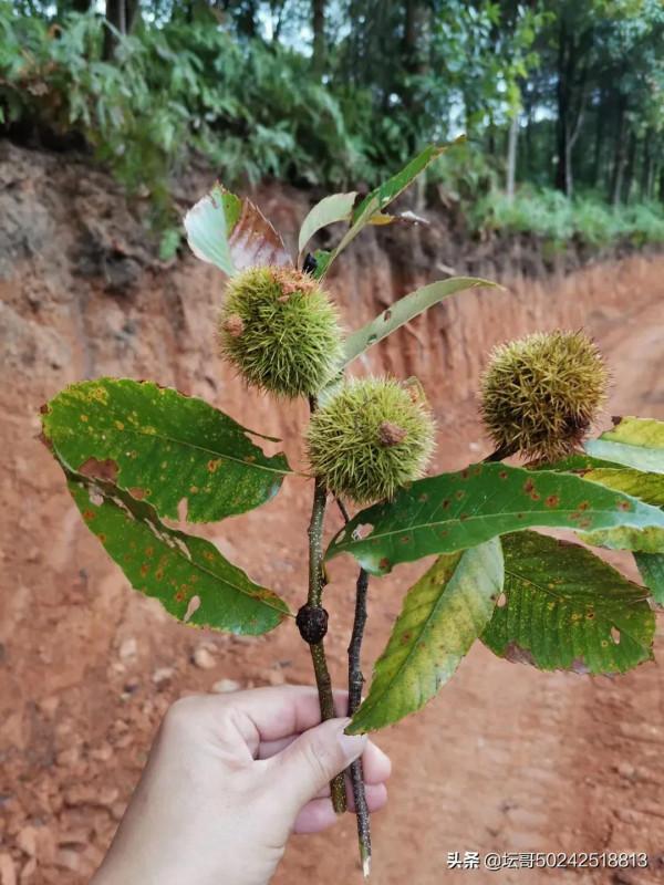 最美風景在路上