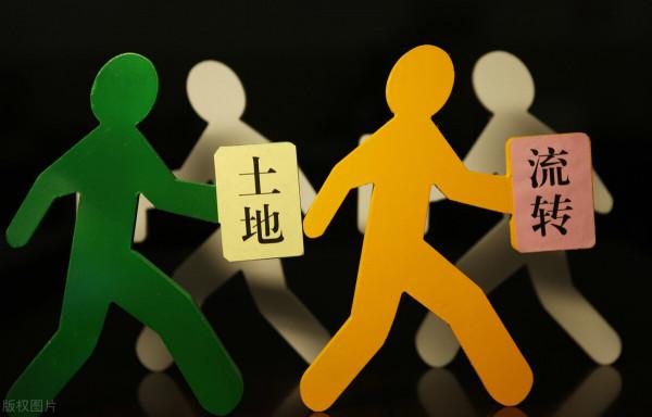 11名人大代表提出“創新農地流轉形式”等內容,農業農村部答覆 11名人大代表提出“創新農地流轉形式”等內容,農業農村部答覆