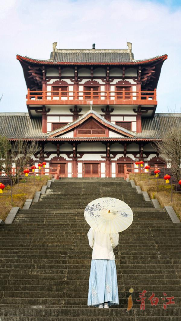 青白江，誰讓我驀然回首？