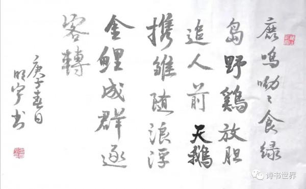 記杭州灣溼地的動物（