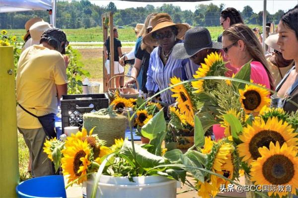 美國50個州的吃喝玩樂攻略請收好！留學生、遊客自駕遊跟團遊必看