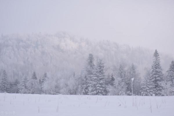 坐著火車去旅行，這5趟火車此生一定要坐一次，你最想體驗哪一趟
