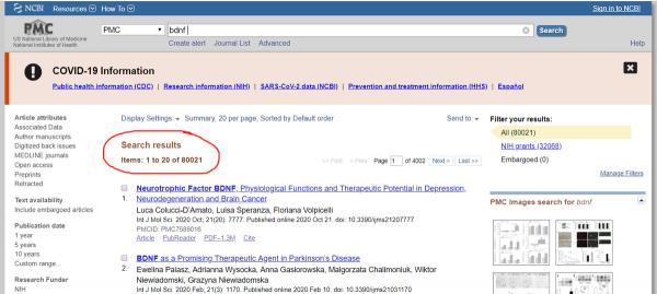 健忘、注意力渙散,原來可能是“腦霧” 健忘、注意力渙散,原來可能是“腦霧”