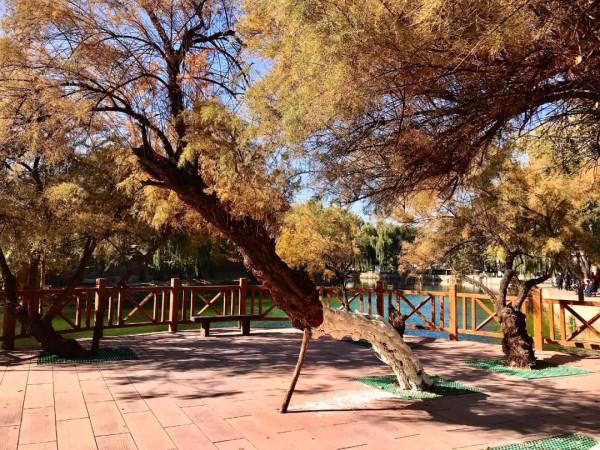 迎冬奧·發現宣化之美|宣化這個公園,美的不像話,像畫! 迎冬奧·發現宣化之美|宣化這個公園,美的不像話,像畫!