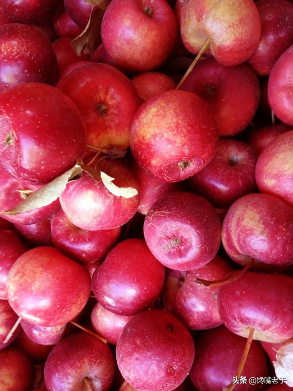 難道只有北方人才吃這些“水果”的？南方朋友：沒吃過，也沒見過