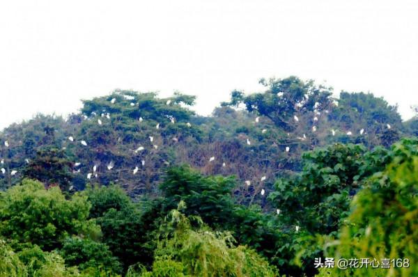 如果你累了倦了,跟我去炎帝陵吧 如果你累了倦了,跟我去炎帝陵吧