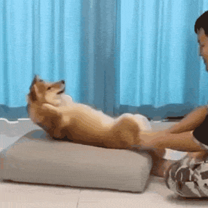 運動表情｜既然運動這麼爽，當然要發表情包勸別人幹呀