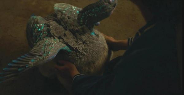 是還原還是醜化?來看看《尚氣》中出現的那些中國神獸 是還原還是醜化?來看看《尚氣》中出現的那些中國神獸