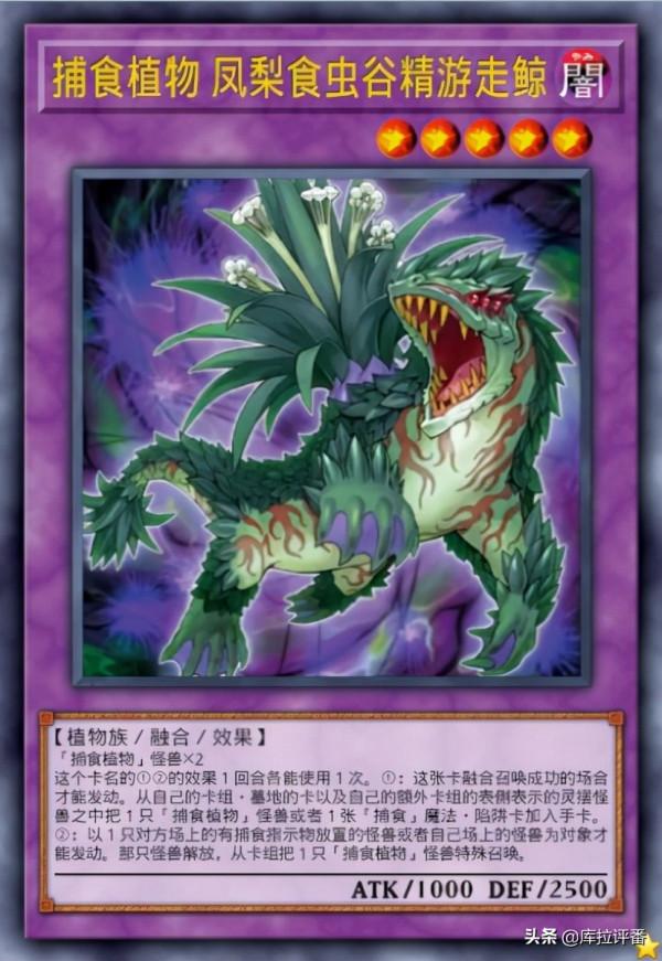 遊戲王,兇餓毒捕食植物融合龍,捕食植物新卡投入 遊戲王,兇餓毒捕食植物融合龍,捕食植物新卡投入
