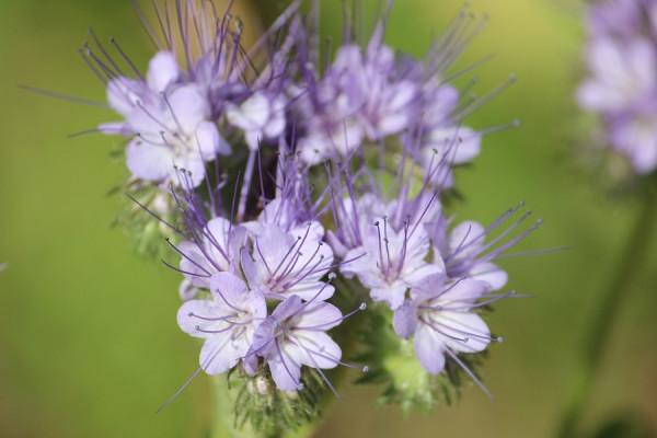 處女座女生2022年運勢詳解,好運將飛速上升,各方面有很大進步 處女座女生2022年運勢詳解,好運將飛速上升,各方面有很大進步