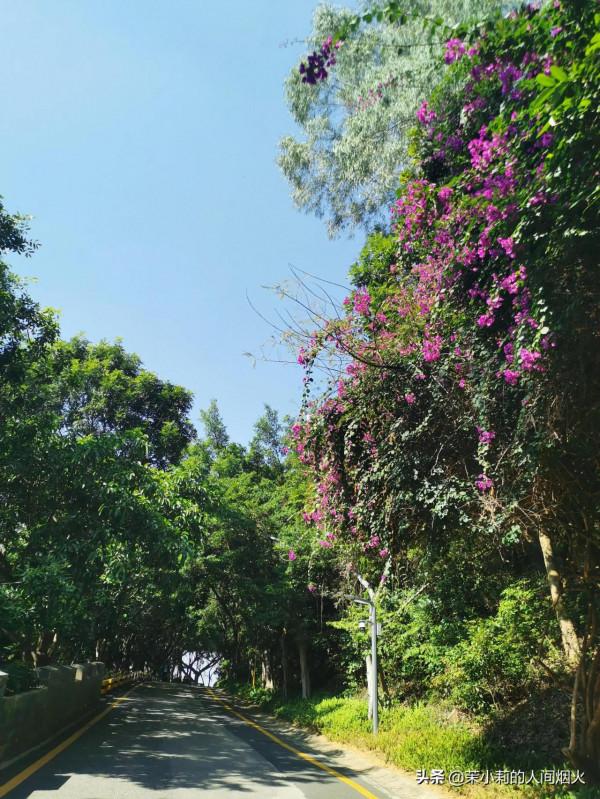 塘朗山&plus;深雲谷，我一天連爬這兩座山，也是沒誰了