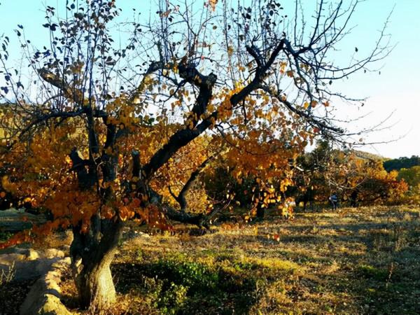 北京平谷深處一景區,天人合一的自然景觀,門票免費適合自駕 北京平谷深處一景區,天人合一的自然景觀,門票免費適合自駕