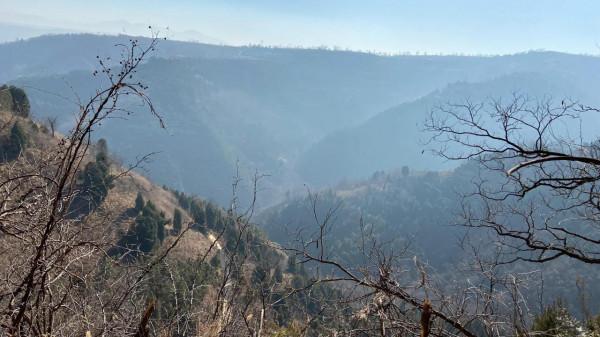 雜草荊棘中探路