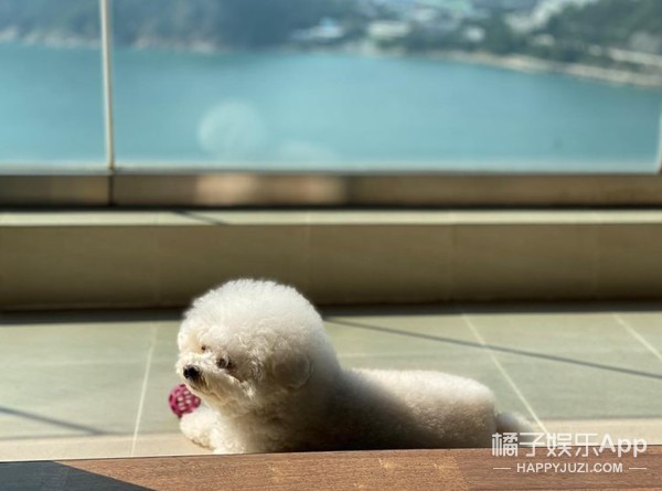 盤點哥哥的豪宅!趙文卓家客廳大到能滑板,陳小春家連鞋都有房間 盤點哥哥的豪宅!趙文卓家客廳大到能滑板,陳小春家連鞋都有房間