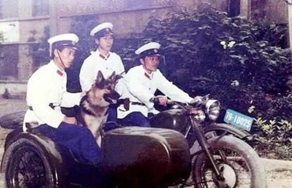 “神眼”馬玉林探案：“尋槍記”