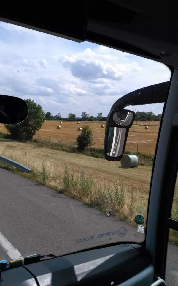 阿蓮聊天68(2021年11月2日) 阿蓮聊天68(2021年11月2日)