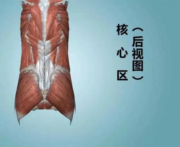 健身時的幾個概念和常識(讓你少走很多彎路哦) 健身時的幾個概念和常識(讓你少走很多彎路哦)