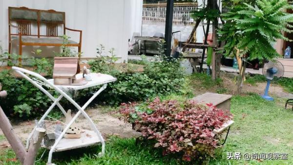 15歲女孩遭遇險境,最終實現完美自救,讓潛藏多年的真兇原形畢露 15歲女孩遭遇險境,最終實現完美自救,讓潛藏多年的真兇原形畢露