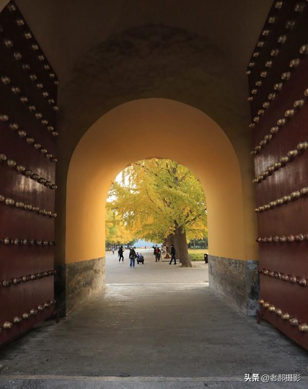 天壇公園裡金秋的穿越