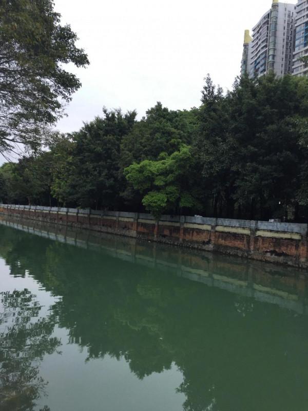 從“美國市長”到“蒙面歌王”,77歲朱亮尼的癲狂人生(下) 從“美國市長”到“蒙面歌王”,77歲朱亮尼的癲狂人生(下)