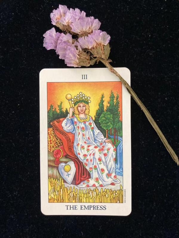 金牛拜金天秤勢利都是金星惹的禍？「塔羅教程行星系列第二期」