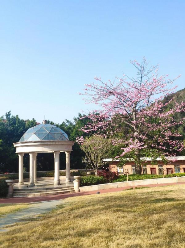 太和古洞有故事