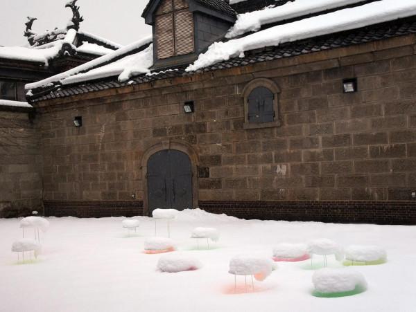 雪托盤承載札幌的原始美