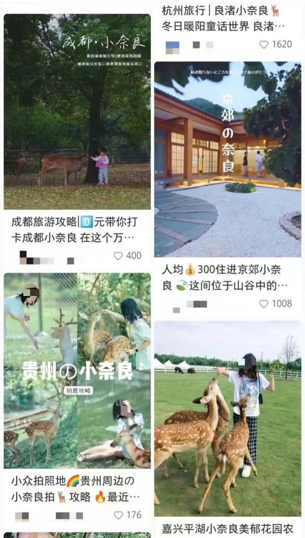 這個國慶假期，網紅景點濾鏡把我騙慘了……