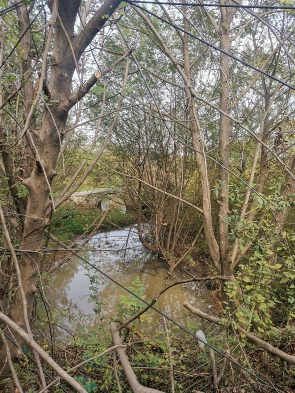 尋找江夏古橋"梅家橋" 尋找江夏古橋"梅家橋"