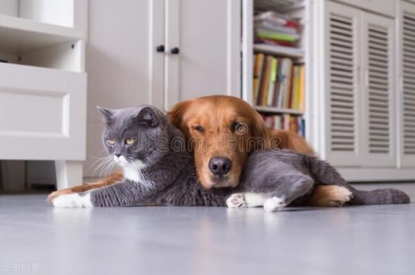 前世的五百次挑戰，今世的和平共處