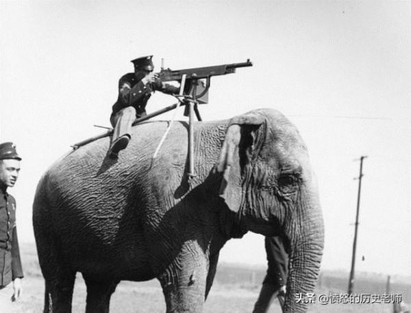 珍貴老照片：日本向蘇聯投降、奄奄一息的丈夫、八國聯軍的罪孽