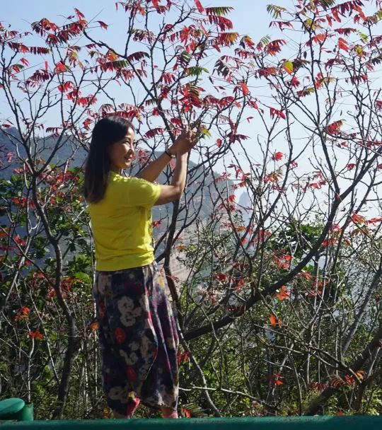 九月初九重陽節——登高覓秋色,賞景正當時 九月初九重陽節——登高覓秋色,賞景正當時