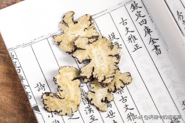 鬱鬱寡歡？分享五味中藥，善解六鬱，送給正在糟心的你