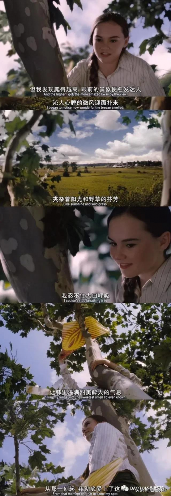 花友的假期影單推薦:這幾部園藝主題電影希望能治癒你的心 花友的假期影單推薦:這幾部園藝主題電影希望能治癒你的心