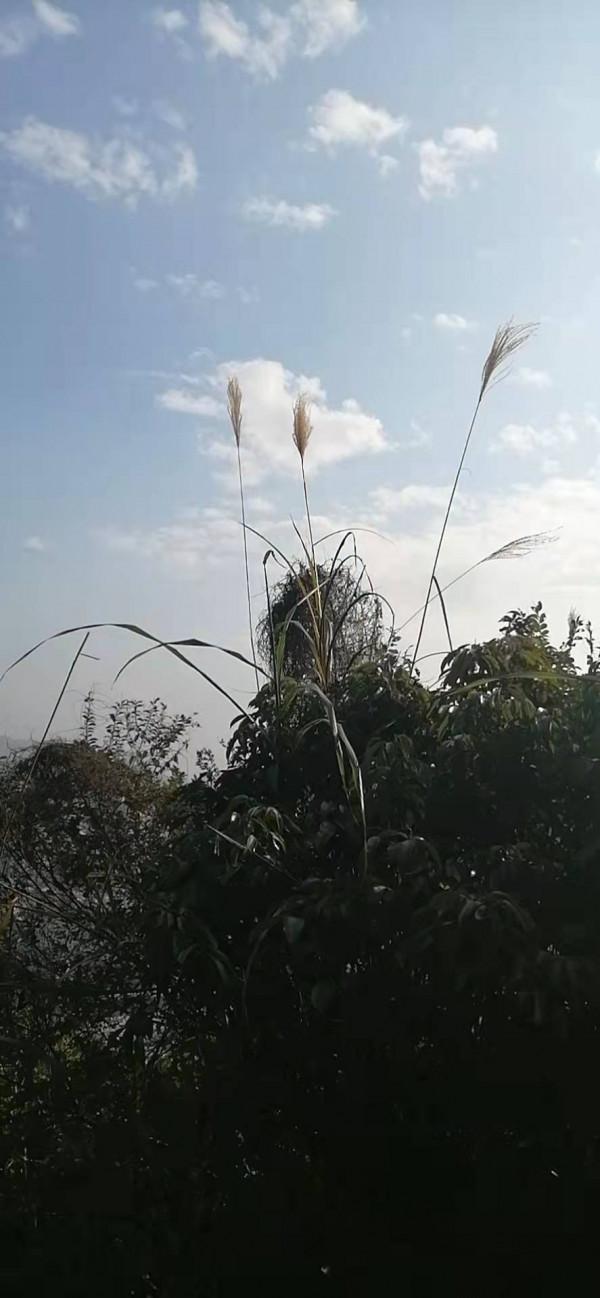 雲彩下的山城系列（九）