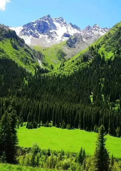 分享大美新疆 景色怡人 美美美