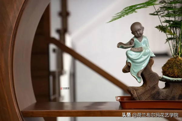 純粹自然，家居超有治癒感的綠植