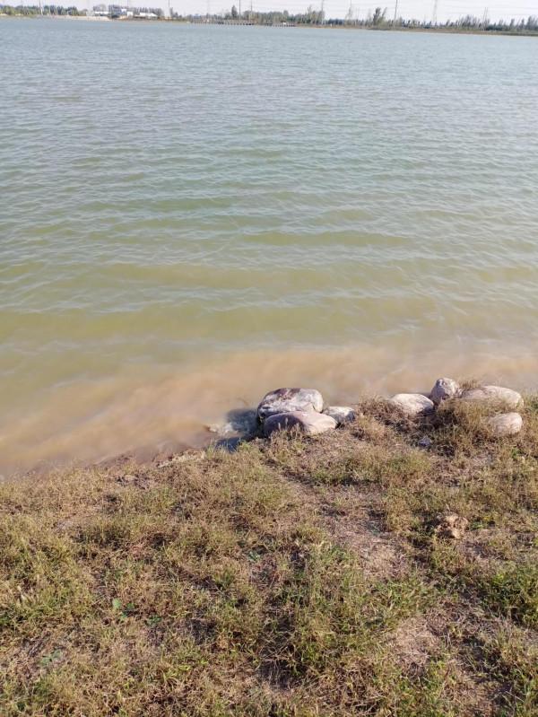 死了也要找到你 死了也要找到你