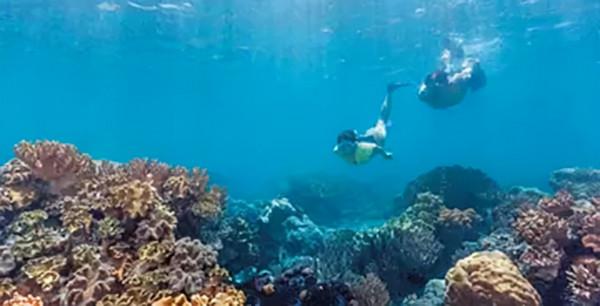 康泰灘,我國最接近越南的南沙島礁,想派人駐守,但是很難 康泰灘,我國最接近越南的南沙島礁,想派人駐守,但是很難