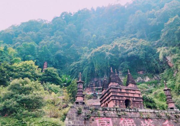 四川一景區被廢棄後，雜草叢生彷彿失落古城，意外爆紅網路