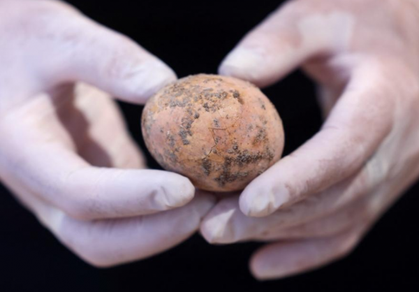 濟南老農意外挖出純金塊,專家聞訊趕來後,發現了一盒西漢雞蛋 濟南老農意外挖出純金塊,專家聞訊趕來後,發現了一盒西漢雞蛋