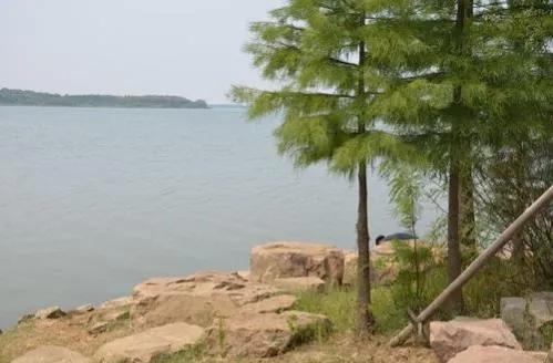 聊齋故事：鱉精為母