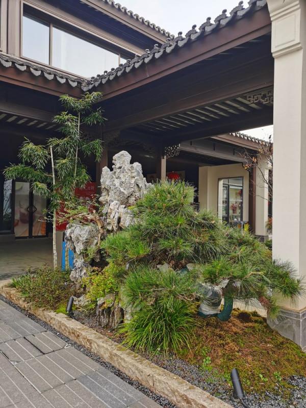 踏青早行人 作者：張鎖龍