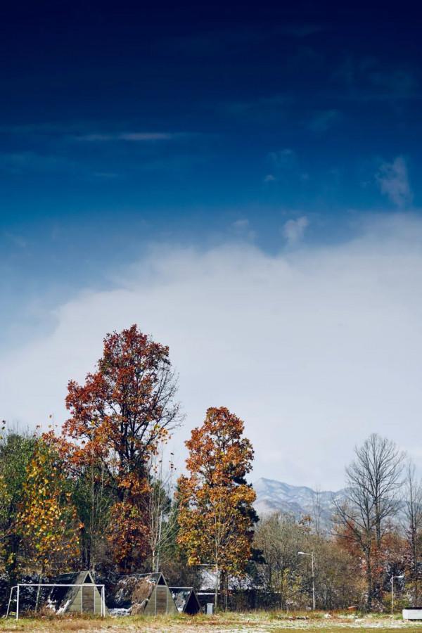 走!伏牛山裡過“彩冬” 走!伏牛山裡過“彩冬”