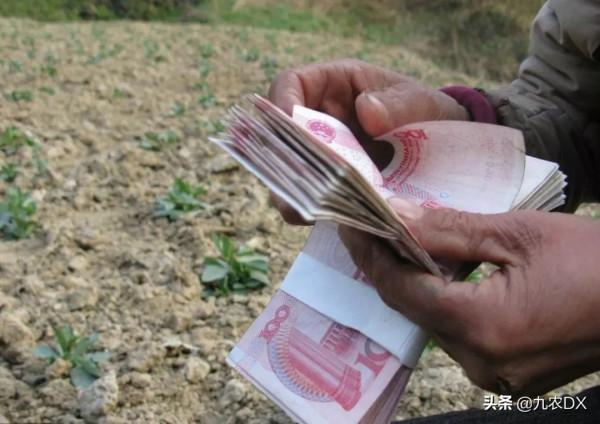 土地徵收,補償費用有哪些?補給誰?怎麼賠?村民自己說了算 土地徵收,補償費用有哪些?補給誰?怎麼賠?村民自己說了算