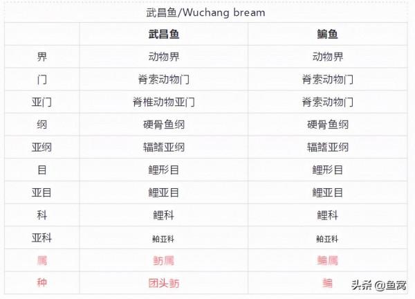 武昌魚和鯿魚,釣魚人還能傻傻分不清? 武昌魚和鯿魚,釣魚人還能傻傻分不清?